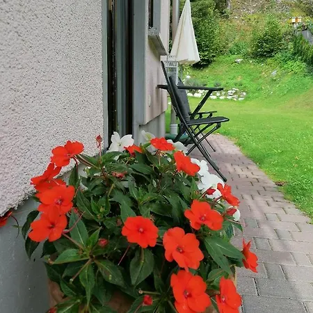 Apartments Mertelj Kranjska Gora Buitenkant foto