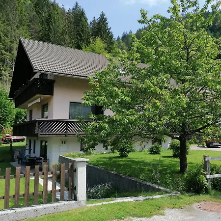 Apartments Mertelj Kranjska Gora Buitenkant foto