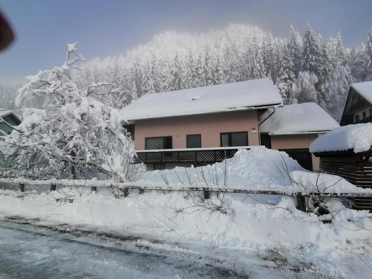 Mertelj Apartment *