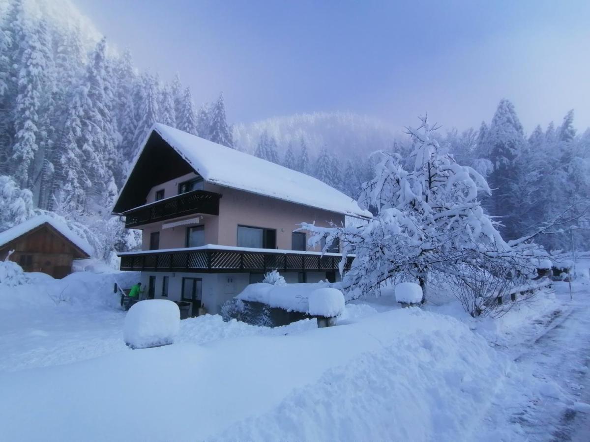 Mertelj * Kranjska Gora