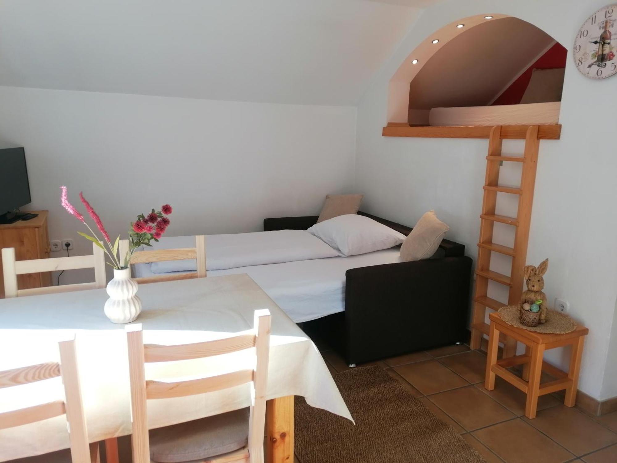 Apartment Mertelj *
