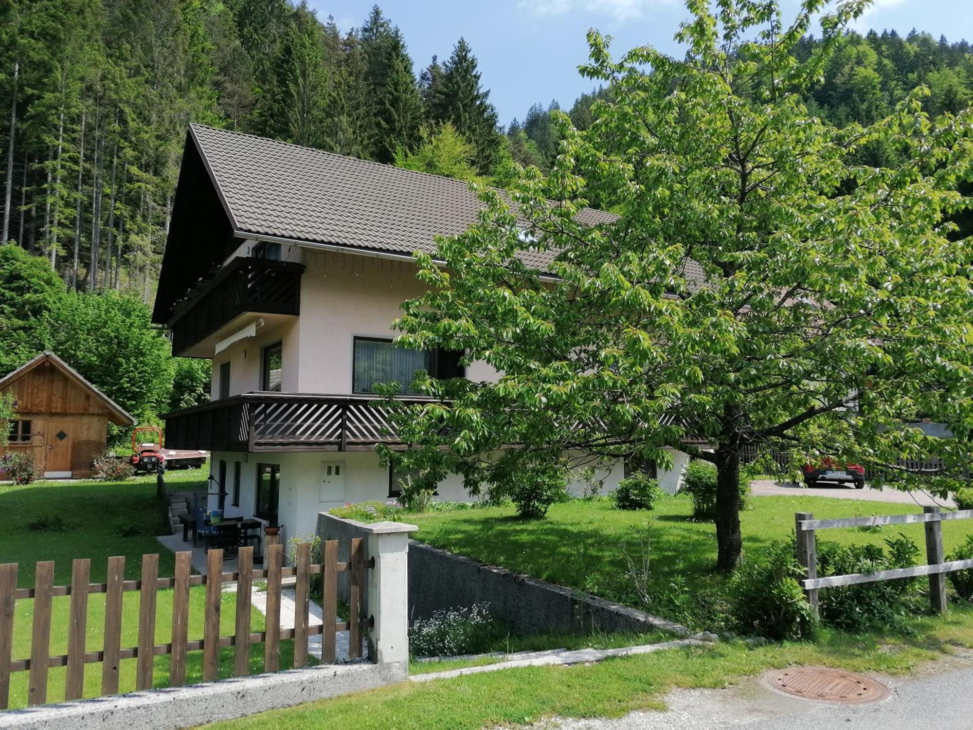 Mertelj Kranjska Gora