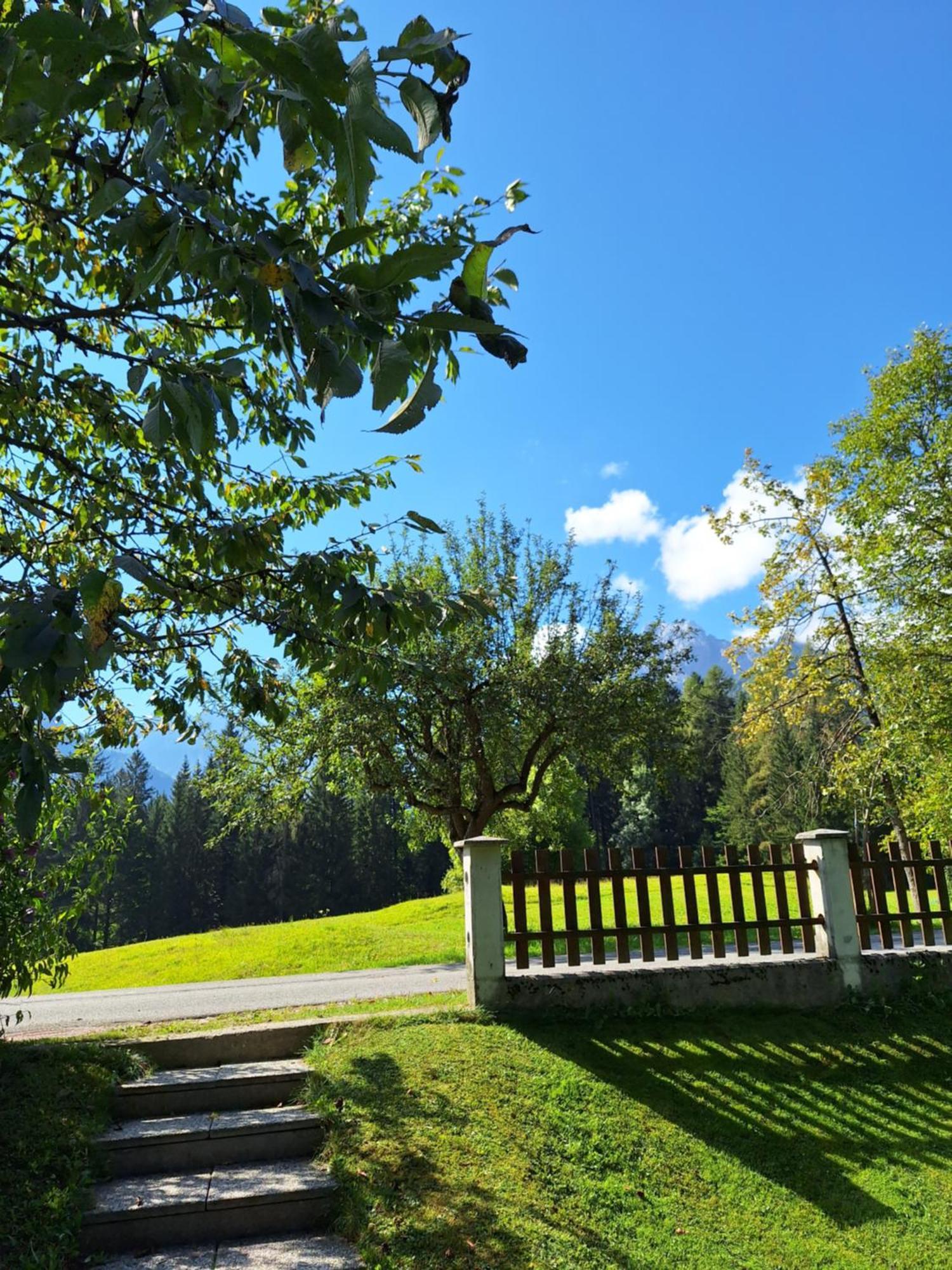 Mertelj * Kranjska Gora