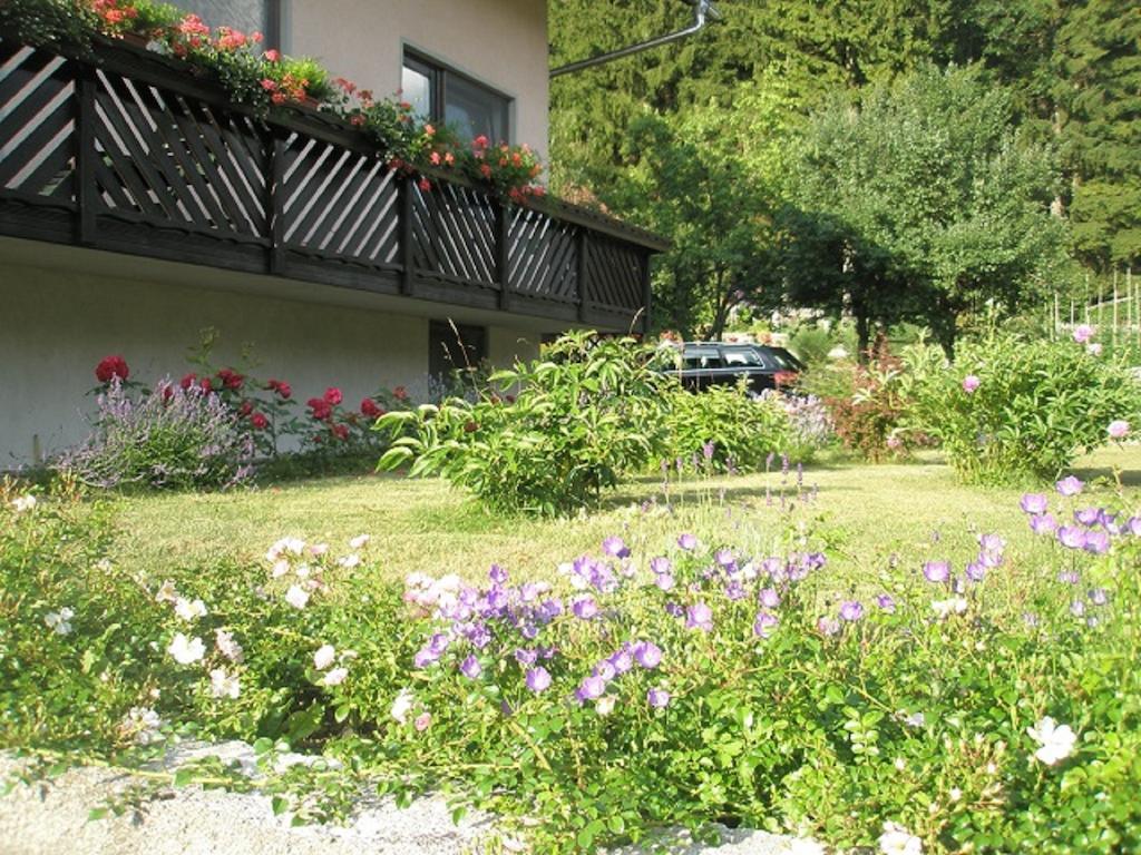 Apartment Mertelj