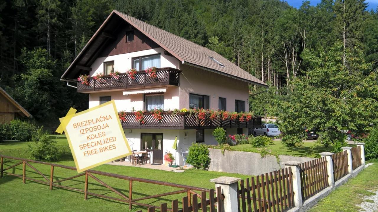 Apartment Mertelj *